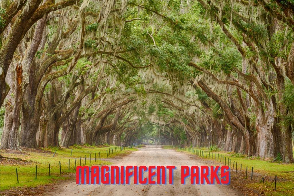 Charming - European Vibe * Palm Coast